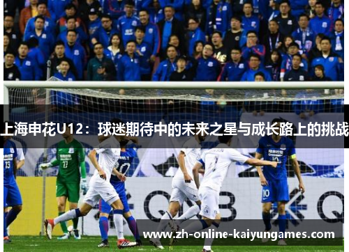 上海申花U12：球迷期待中的未来之星与成长路上的挑战