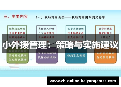 小外援管理：策略与实施建议