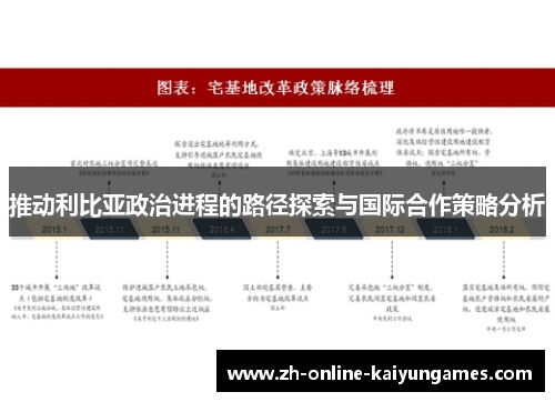 推动利比亚政治进程的路径探索与国际合作策略分析
