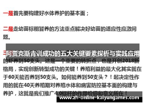 阿贾克斯青训成功的五大关键要素探析与实践应用